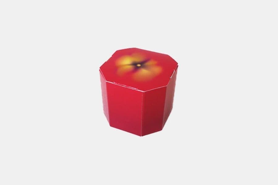 リンゴのお菓子の箱