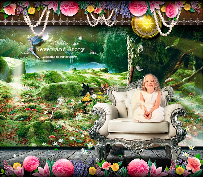Neverland Story